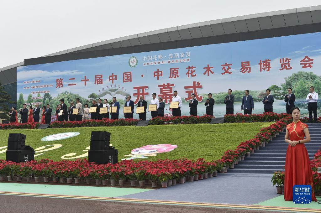 白菜分享网